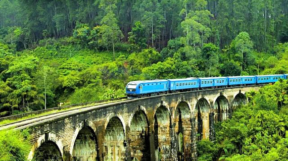 Tren panorámico entre plantaciones de té en Sri Lanka